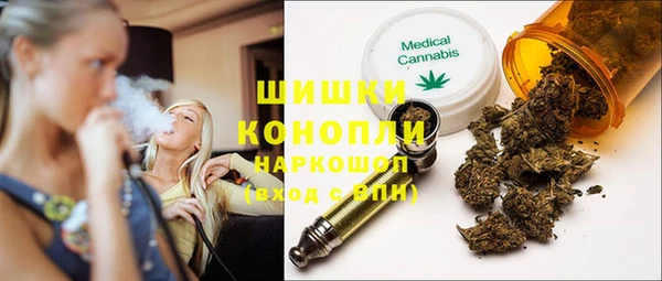 ГАЛЛЮЦИНОГЕННЫЕ ГРИБЫ Магас